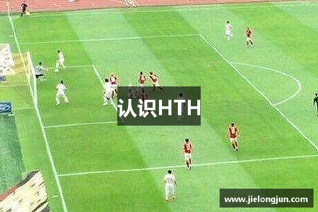 认识HTH